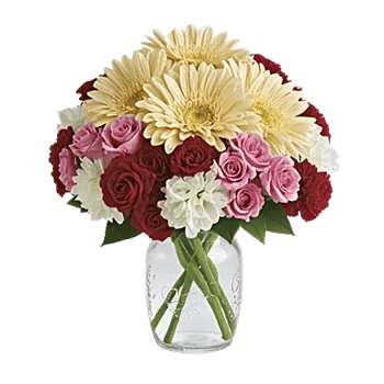 Petal Radiance Bliss