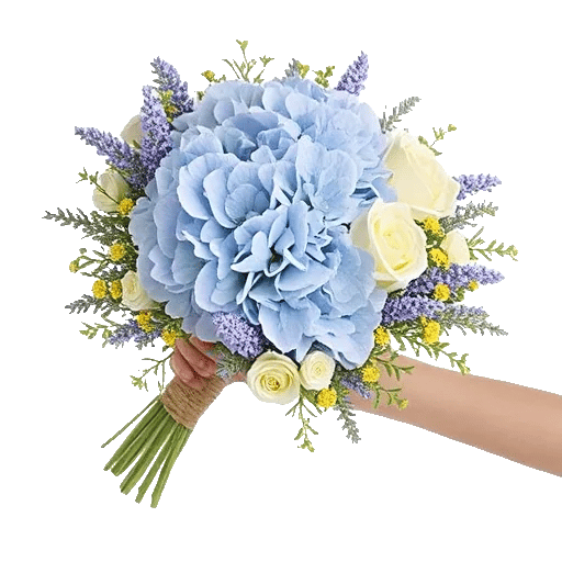 Serene Petal Harmony