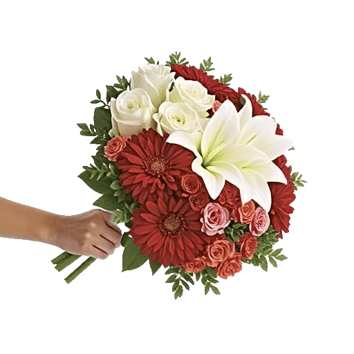 Blossom Harmony Display