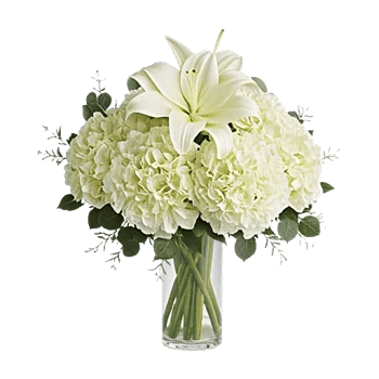 Graceful Lily Display