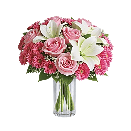 Pink Pastel Roses