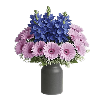 Serenity Blossom Grace