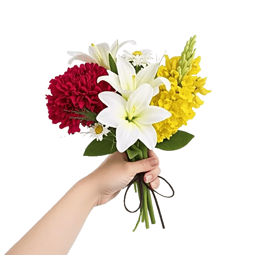 Crimson Rose Elegance