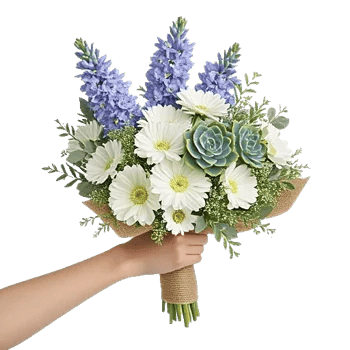 Blossom Petal Serenity