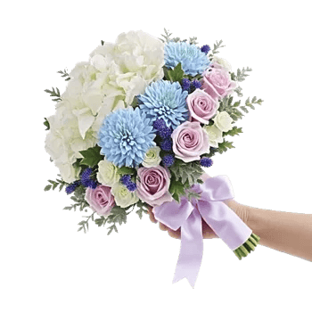 Serene Petal Harmony