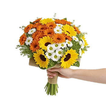 Daisy Meadow Spread