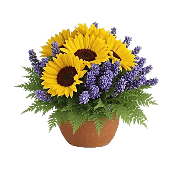 Amber Sunflower Glow