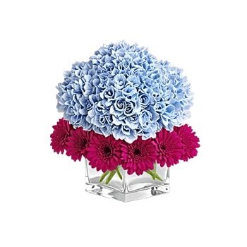 Sapphire Bloom Whisper