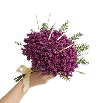 Rosemary Bloom Elegance