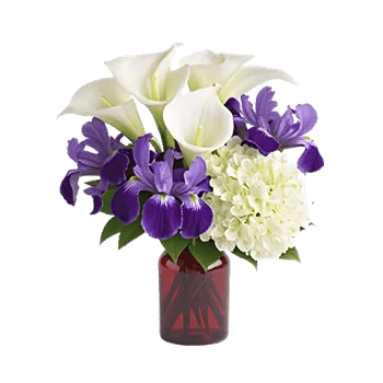 Elegant Calla Lilies