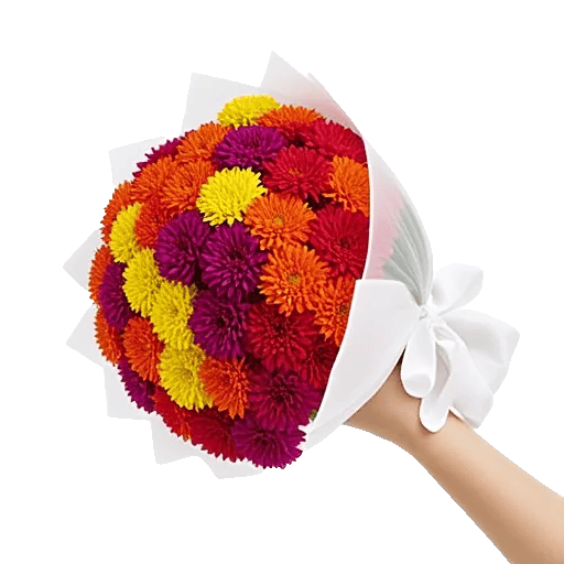 Plum Blossom Radiance