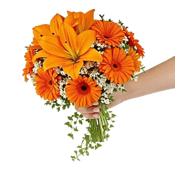 Petal Harmony Bliss
