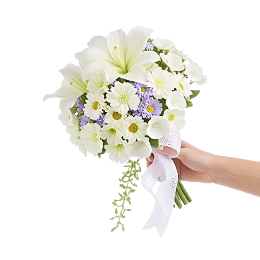 Minimalist White Orchids