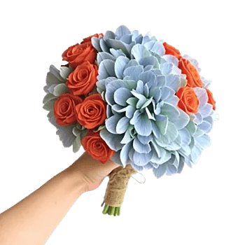 Serene Petal Harmony