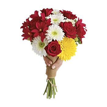 Crimson Blossom Harmony