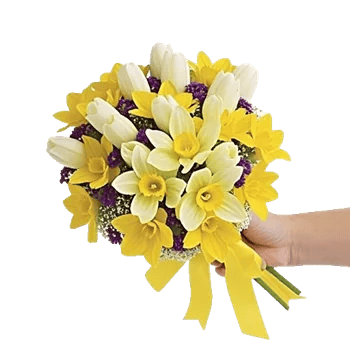 Blossom Harmony Display