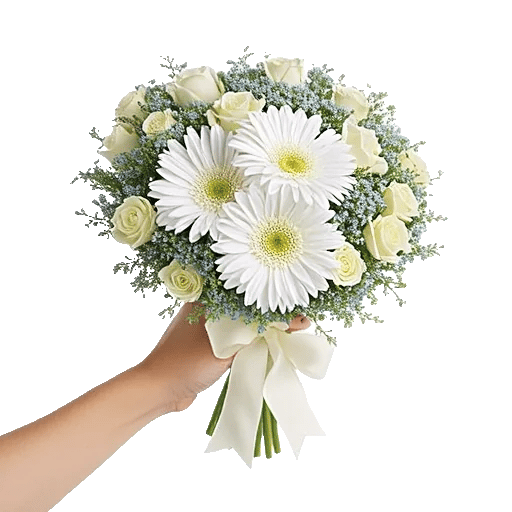 Serene Petal Harmony