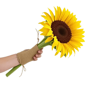 Twinkling Sunflower Dance