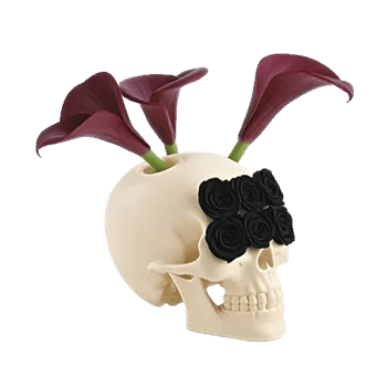 Elegant Calla Lilies