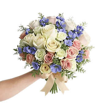 Blushing Rose Symphony