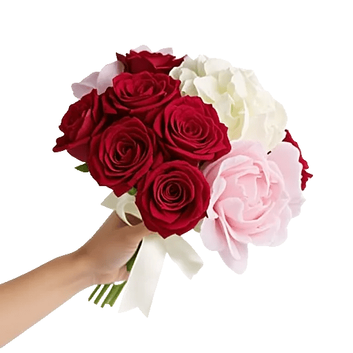 Crimson Rose Elegance