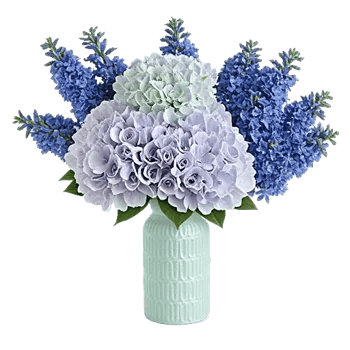 Sapphire Bloom Whisper