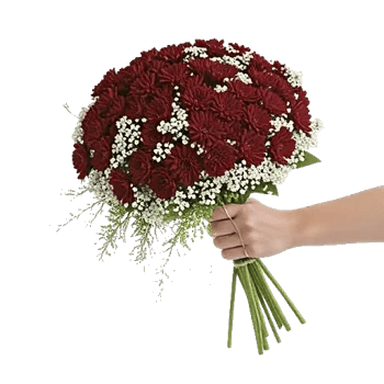 Delicate Petal Cascade