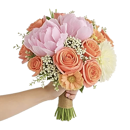 Ivory Blossom Radiance