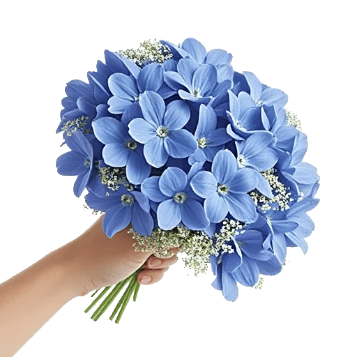 Blossom Petal Serenity