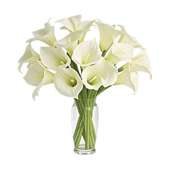 Graceful Lily Display