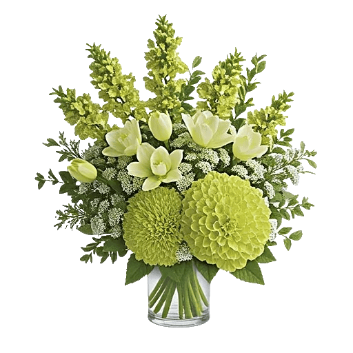 Ivory Blossom Radiance