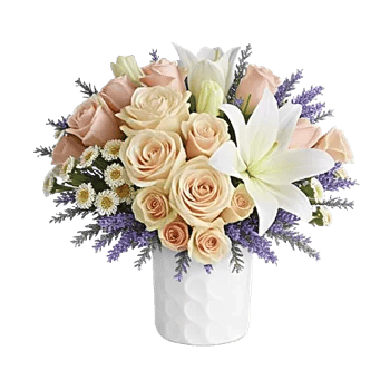 Ivory Blossom Radiance