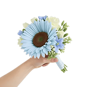 Serene Petal Harmony