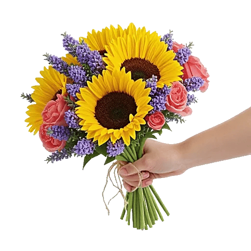 Twinkling Sunflower Dance