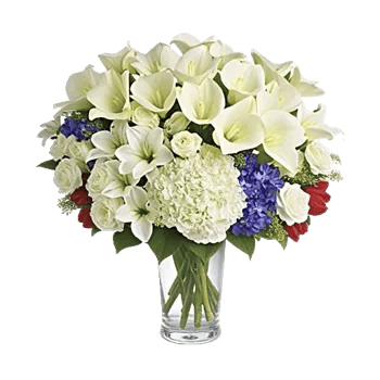 Elegant Calla Lilies