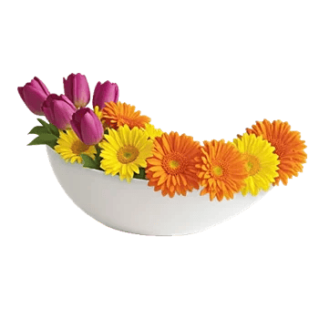 Velvet Tulip Display