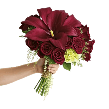 Elegant Calla Lilies