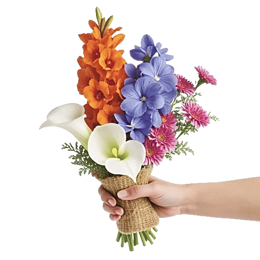 Elegant Calla Lilies