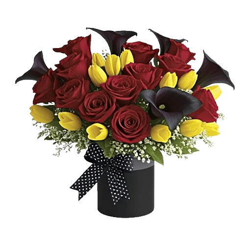 Elegant Calla Lilies