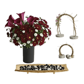 Elegant Calla Lilies