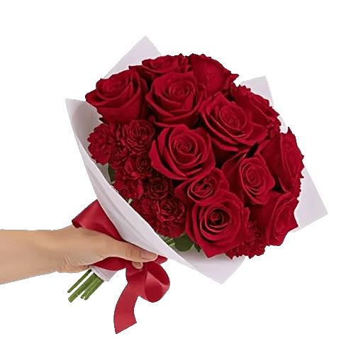 Crimson Rose Elegance