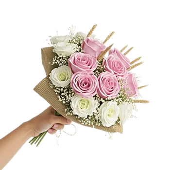 Blushing Rose Symphony