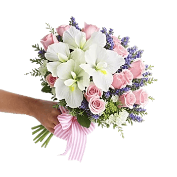 Ivory Blossom Radiance