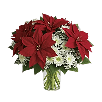 Crimson Blossom Harmony