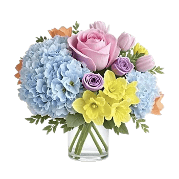 Pink Pastel Roses