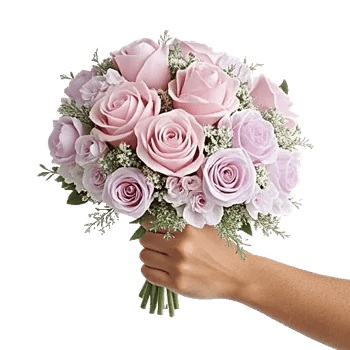 Pastel Pink Roses