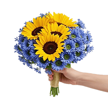 Twinkling Sunflower Dance