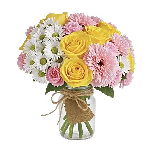 Enchanting Daisy Garden