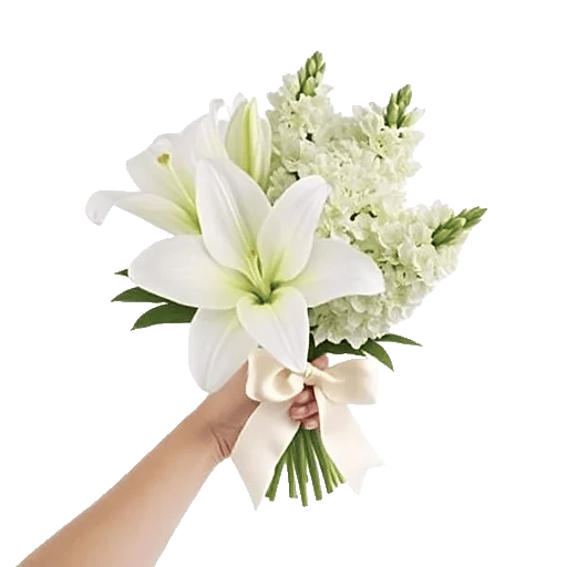 Graceful Lily Display
