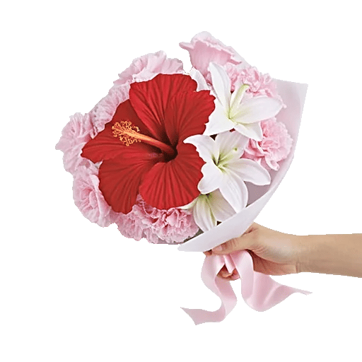 Blushing Rose Symphony